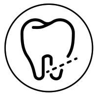 Dr-Howard-Cho_Root-tip